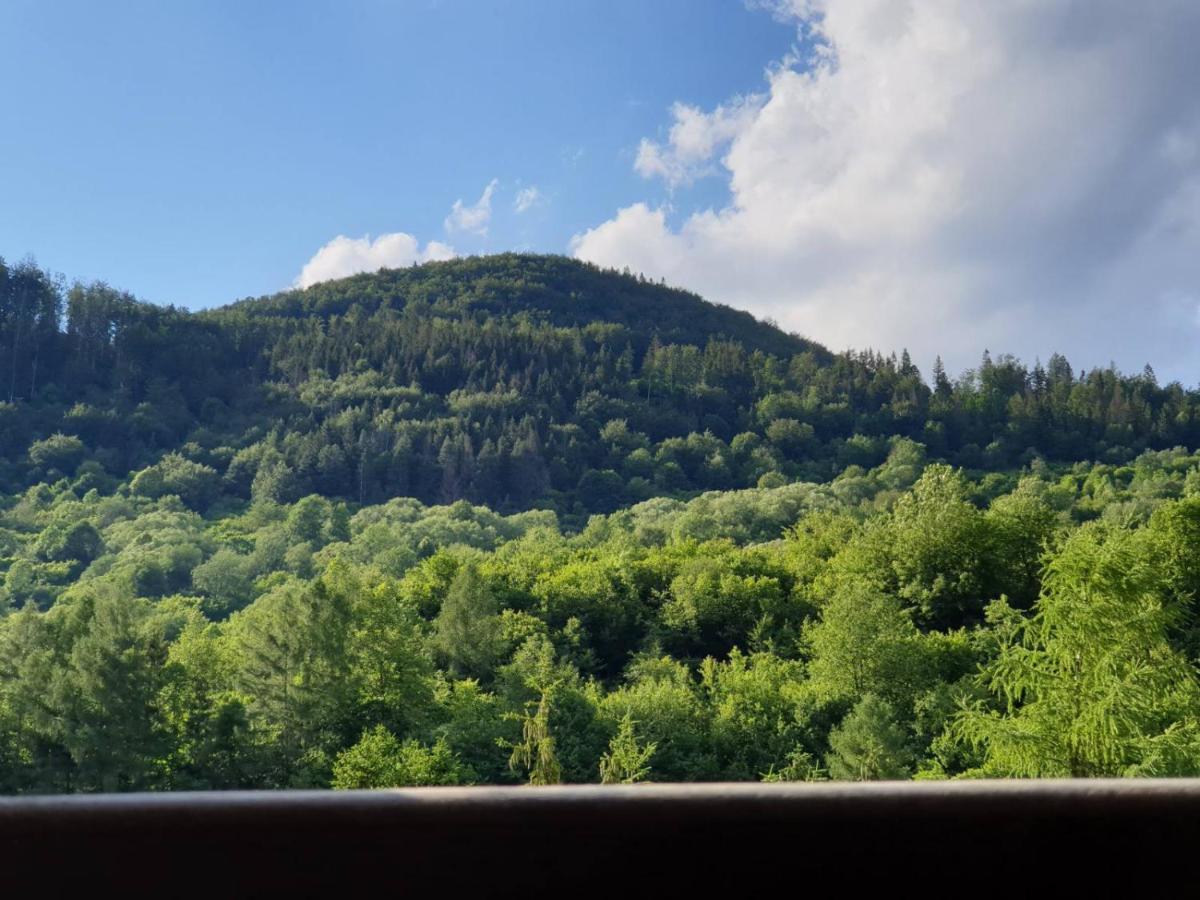 Apartmán Viktória Terchová Esterno foto